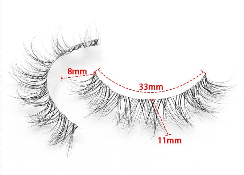 Lash Kit - Segmented and Banded Combo Pack