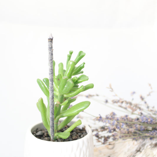 Artisan Handmade Incense - Palo Santo