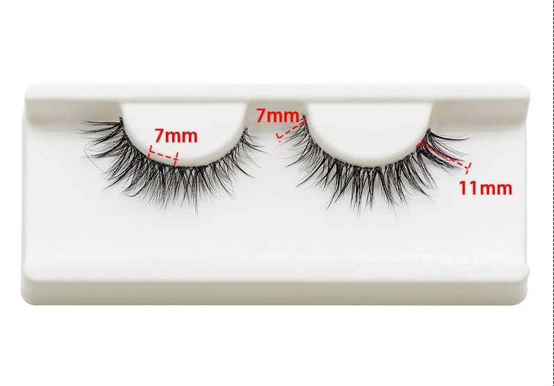 Lash Kit - Day to Night Segmented