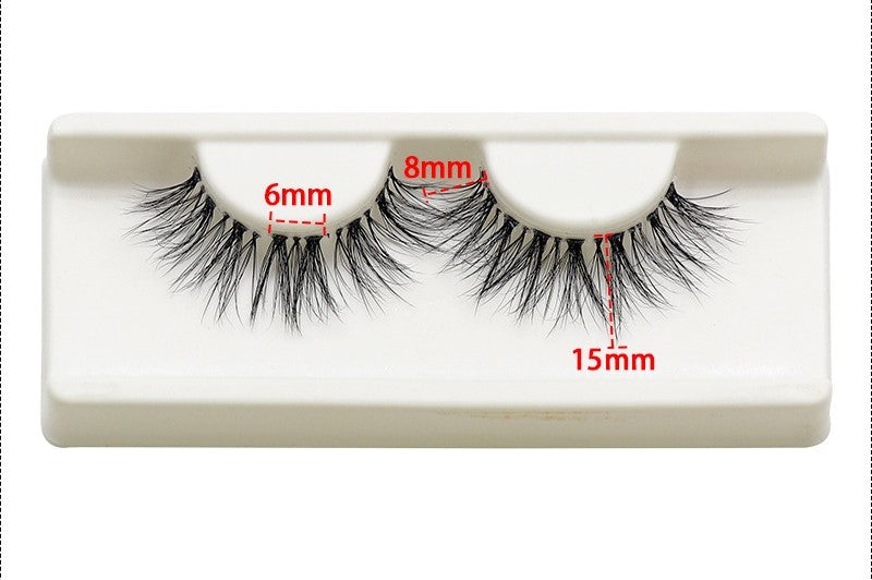 Lash Kit - Day to Night Segmented