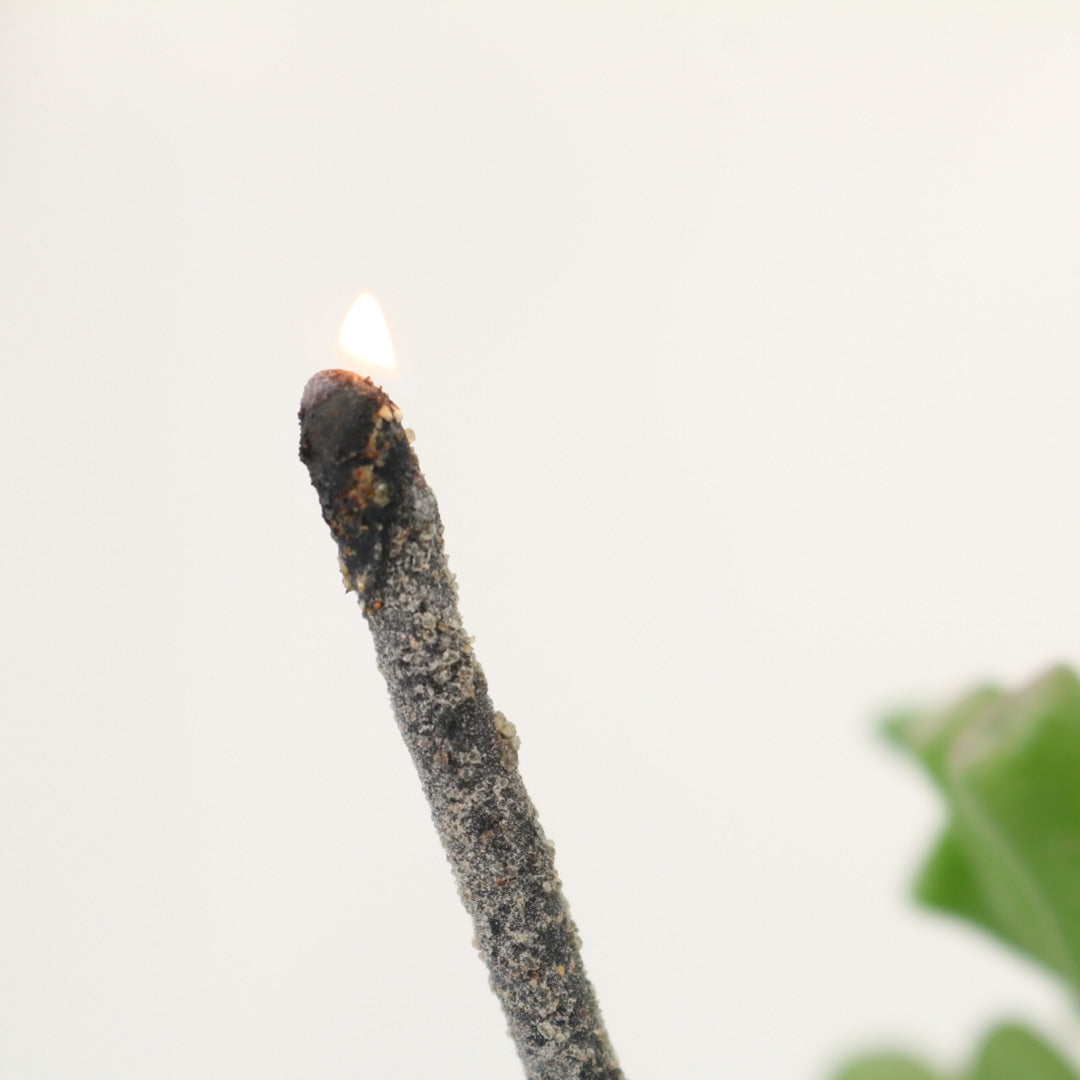 Artisan Handmade Incense - Palo Santo